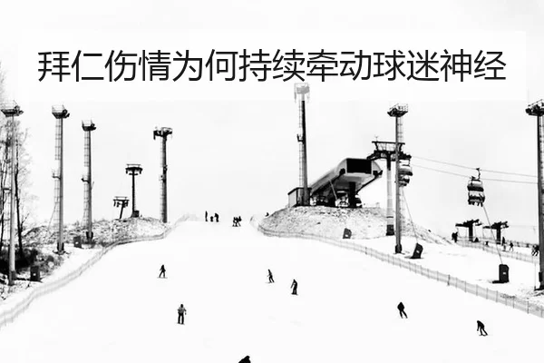 拜仁伤情为何持续牵动球迷神经